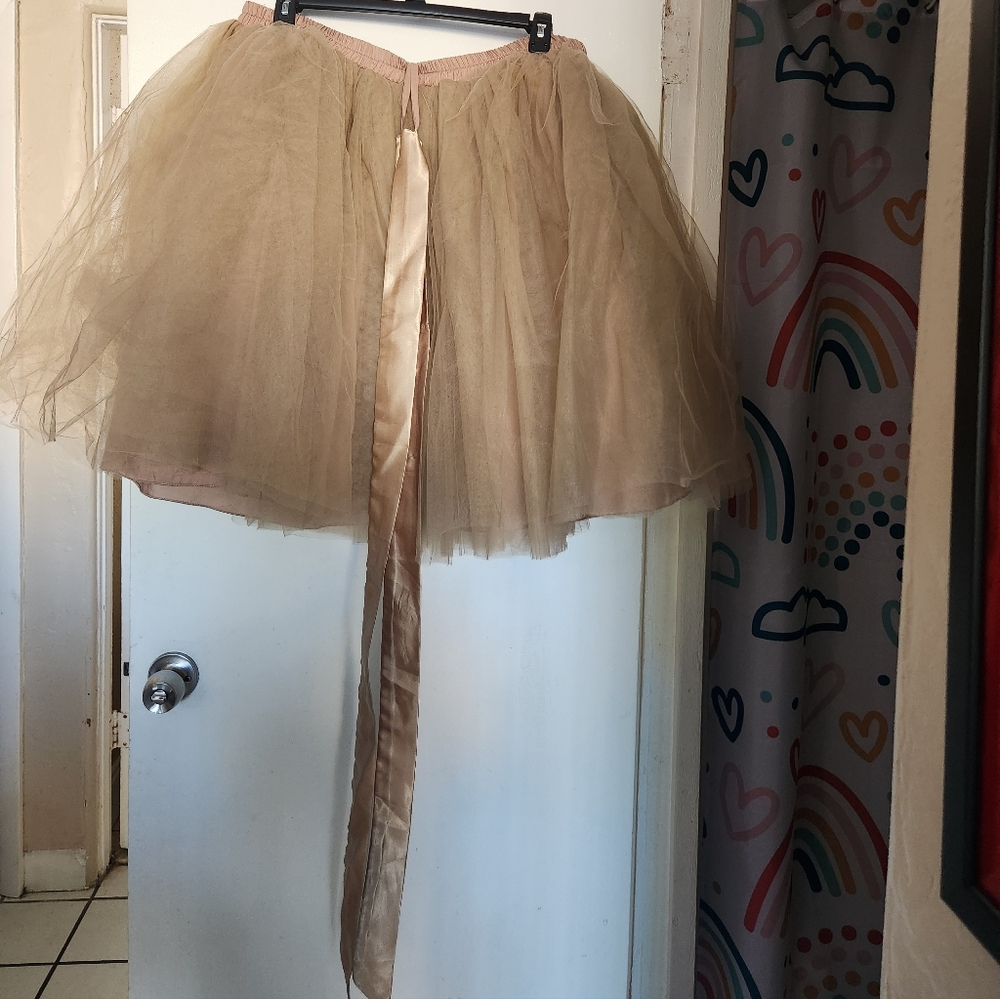 Elegant Tan Tulle Skirt
